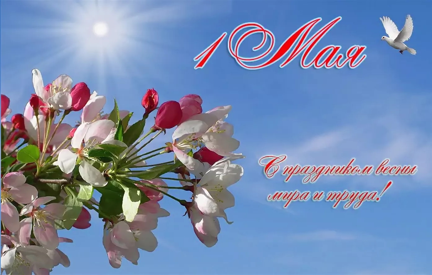 Поздравления С Днем Труда Коллегам